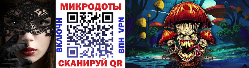Псилоцибиновые грибы Psilocybine cubensis  наркотики  Юрга 
