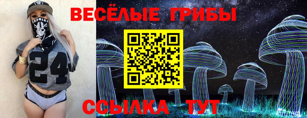 Галлюциногенные грибы Psilocybe Юрга